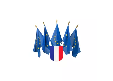 Écusson porte-drapeaux tricolore PVC 10 mm sur châssis bois