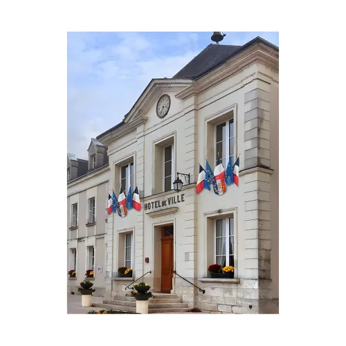 Ecusson porte-drapeaux tricolore RF en PVC 400 x 500 mm