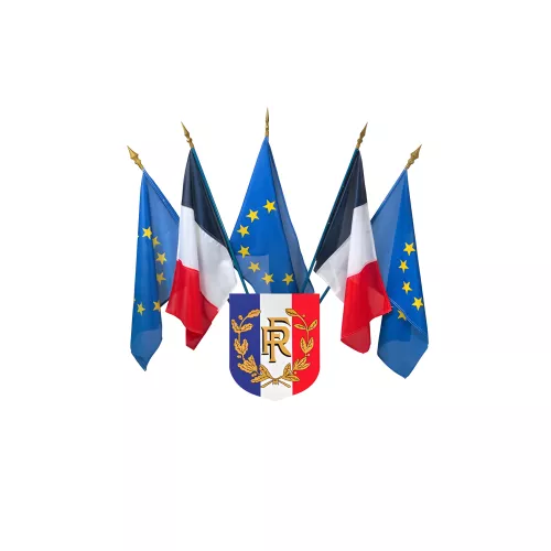 Ecusson porte-drapeaux tricolore RF et palmes 400 x 500 mm