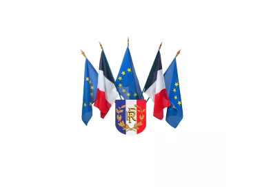 Ecusson porte-drapeaux tricolore RF et palmes 400 x 500 mm