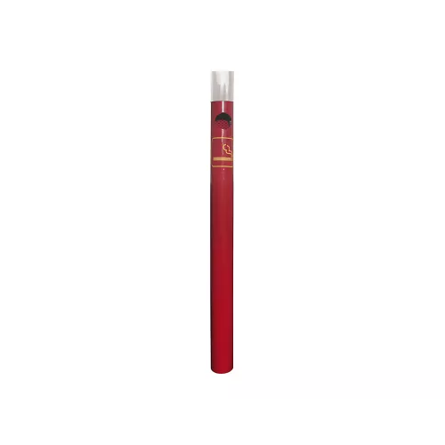 Potelet - Cendrier Inox brossé PROCITY