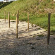 Slalom (10 plots)