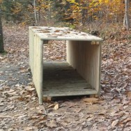 Tunnel
